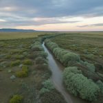 Impacto de especies invasoras en la biodiversidad vegetal murciana