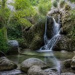 Fuente caputa murcia: guía de biodiversidad y flora autóctona