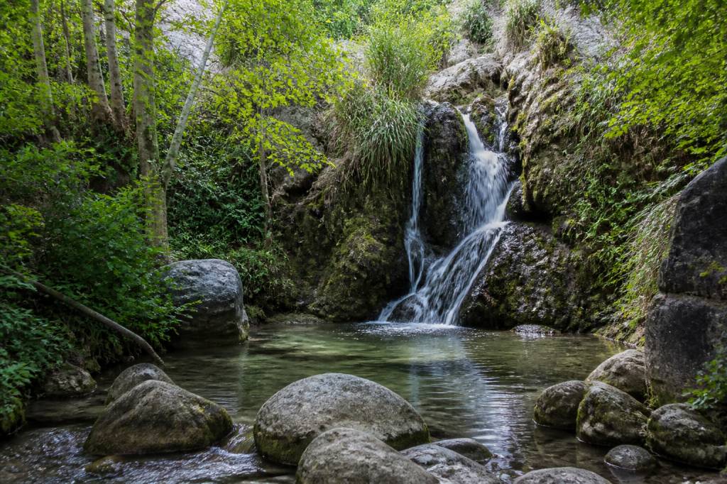 Fuente caputa murcia: guía de biodiversidad y flora autóctona